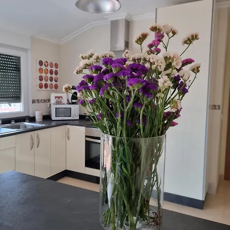 Apartment En El Centro De Nuevo Y Con Terraza *